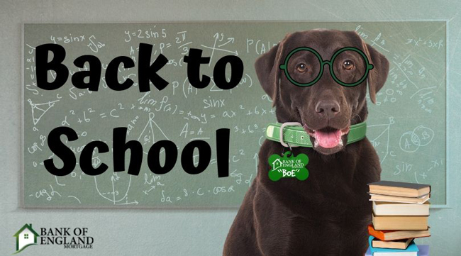 Back to School with BOE the Dog