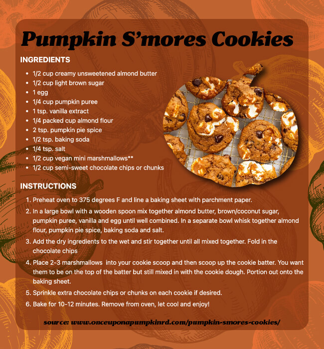Pumpkin S'mores Cookies